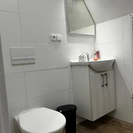 Prázdninový dům Holiday House Kovarska *